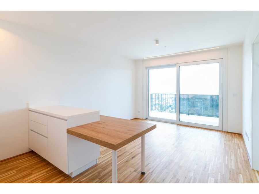 Immobilie: Apartement in 1100 Wien