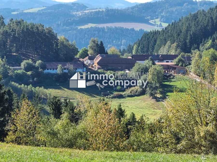 Bauernhof in 4294 Sankt Leonhard bei Freistadt Immobilie: Bauernhof in 4294 Sankt Leonhard bei Freistadt