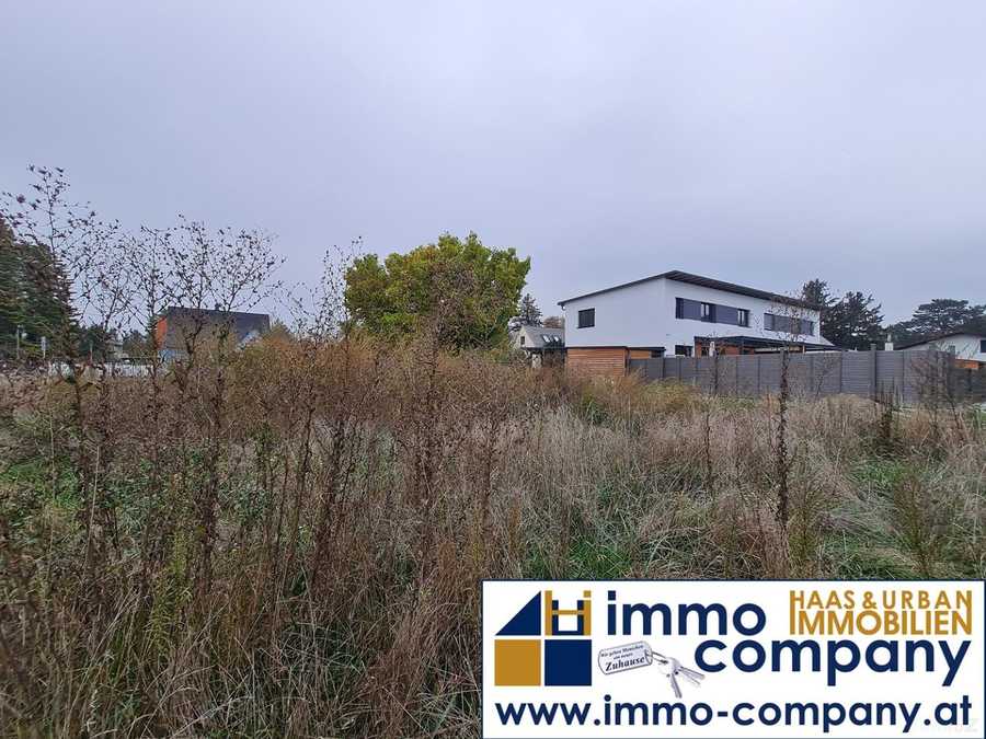 Immobilien Bezirk Wiener Neustadt Land März 2023