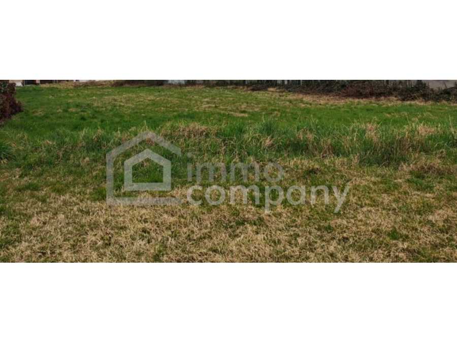 Immobilie: Baugrundstück in 7132 Frauenkirchen