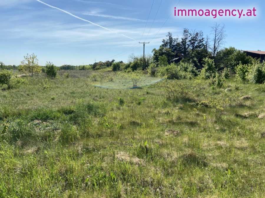 Baugrundstück in 2230 Gänserndorf Immobilie: Baugrundstück in 2230 Gänserndorf
