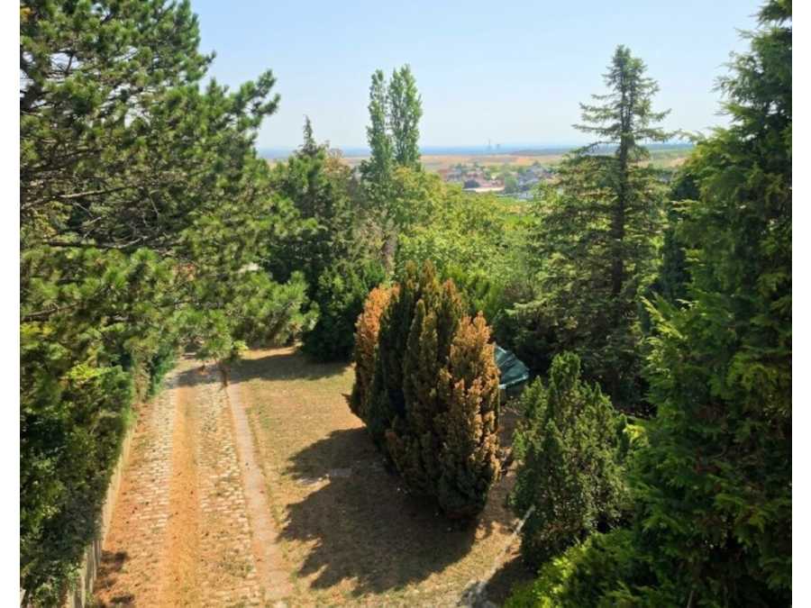 Immobilie: Baugrundstück in 2102 Hagenbrunn