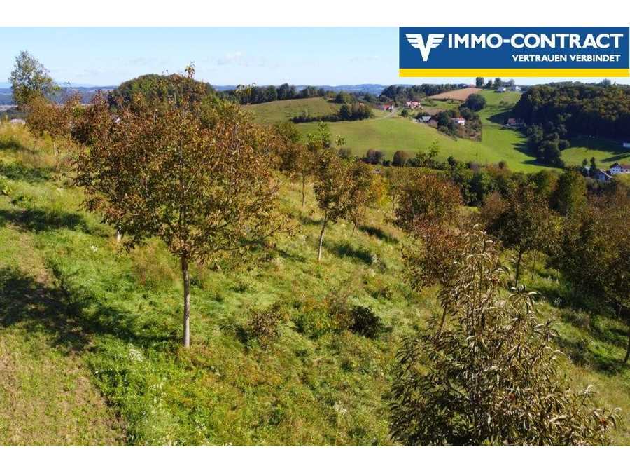 Baugrundstück in 8380 Henndorf im Burgenland Immobilie: Baugrundstück in 8380 Henndorf im Burgenland