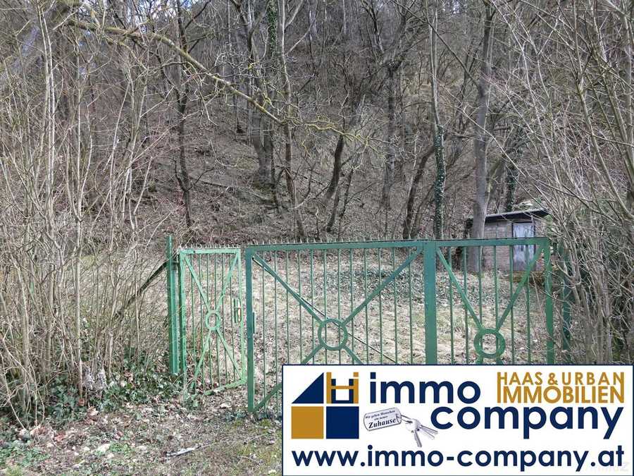 Baugrundstück in 2371 Hinterbrühl Immobilie: Baugrundstück in 2371 Hinterbrühl