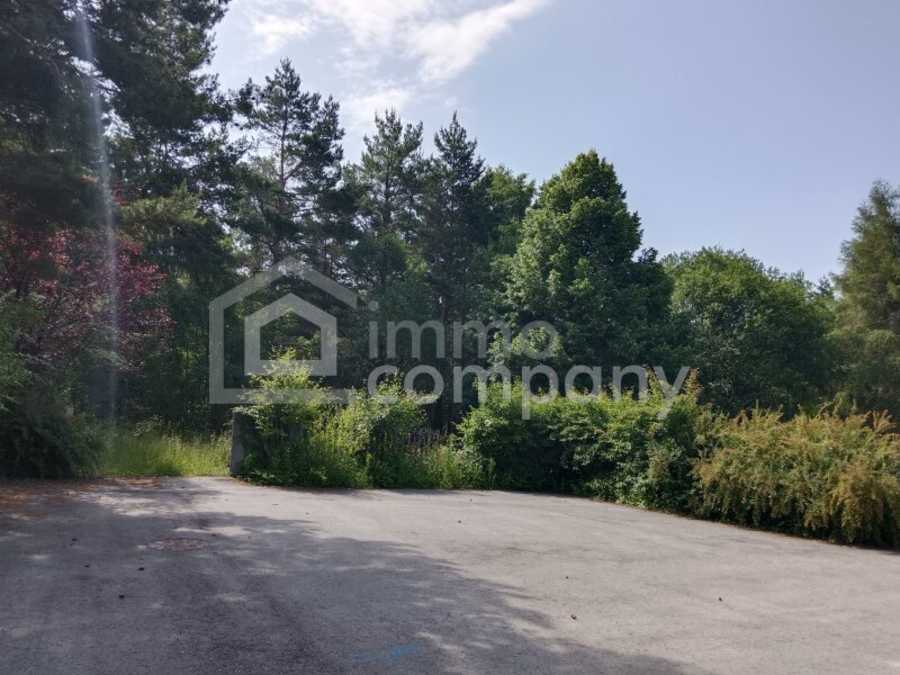 Immobilie: Baugrundstück in 2812 Hollenthon