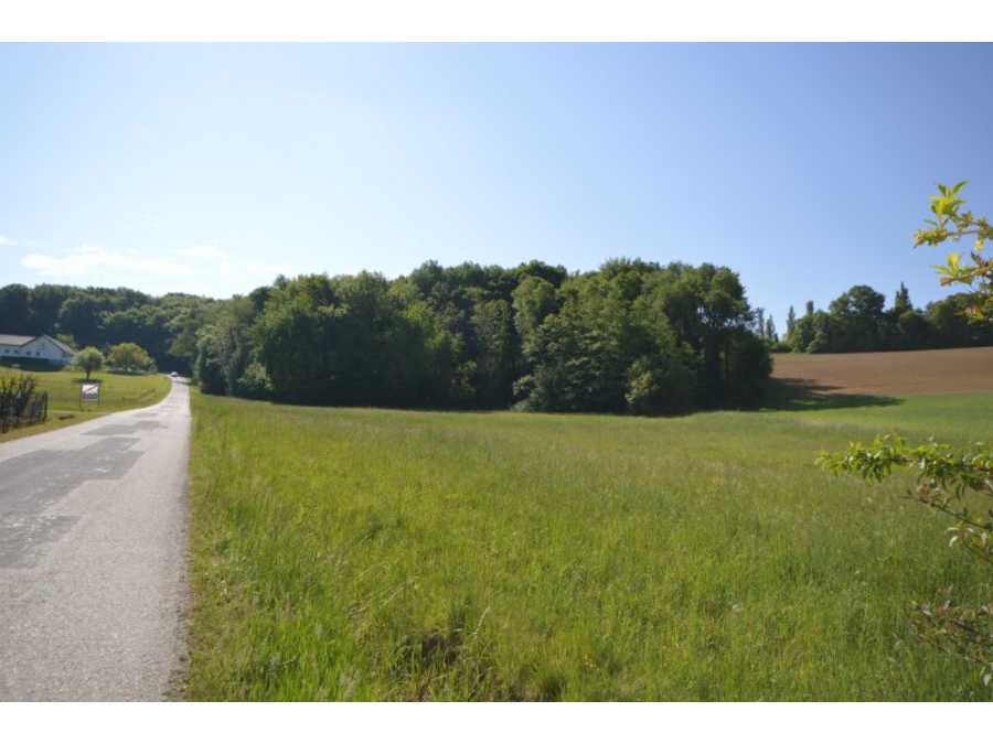 Immobilie: Baugrundstück in 7543 Limbach