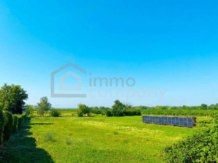Immobilie: Baugrundstück in 7100 Neusiedl am See