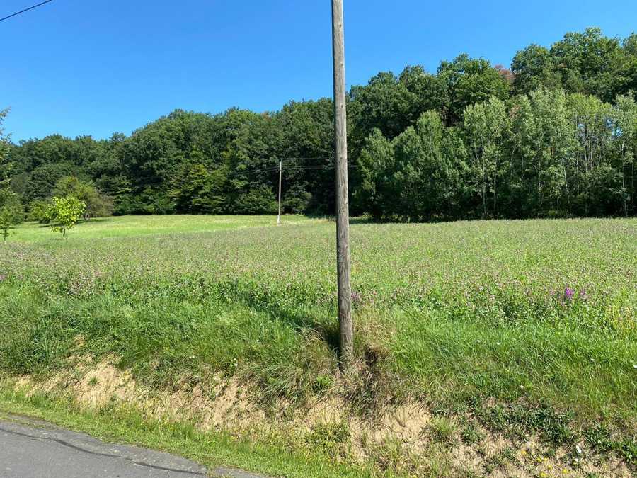 Baugrundstück in 7540 Neustift bei Güssing Immobilie: Baugrundstück in 7540 Neustift bei Güssing