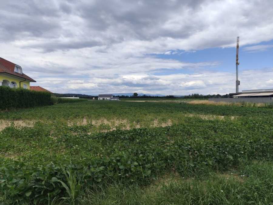 Immobilie: Baugrundstück in 7400 Oberwart