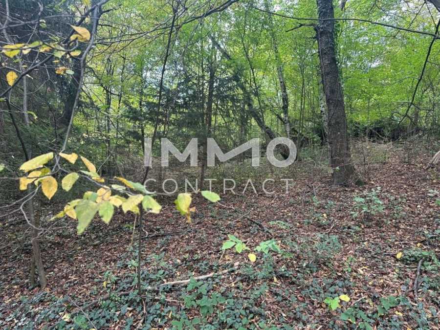 Immobilie: Baugrundstück in 3021 Pressbaum