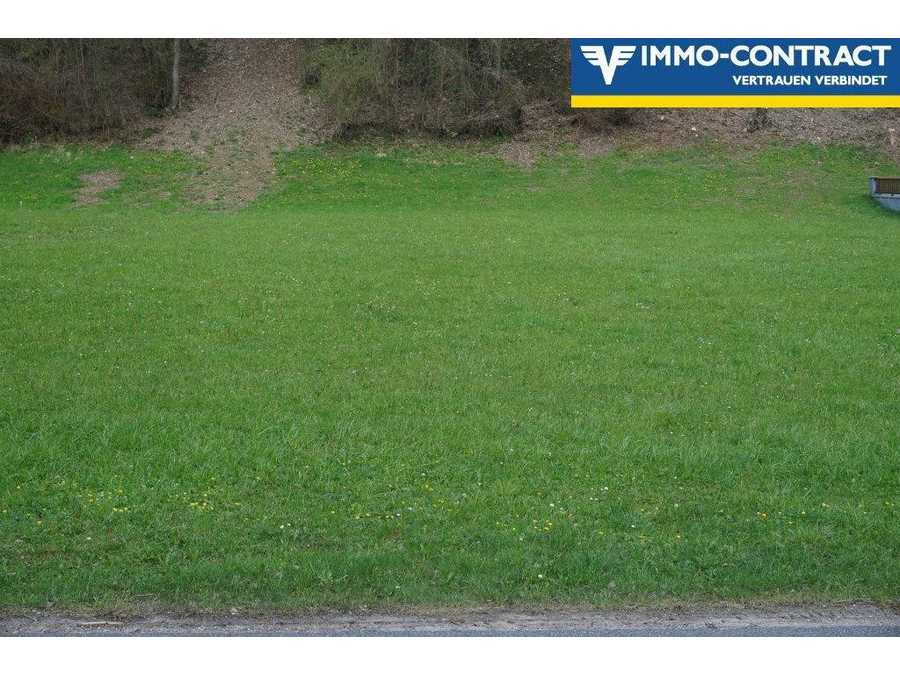 Baugrundstück in 3263 Randegg Immobilie: Baugrundstück in 3263 Randegg