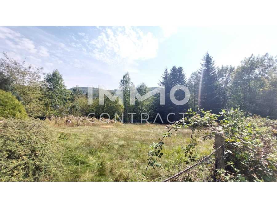 Baugrundstück in 3032 Eichgraben / Hinterleiten Immobilie: Baugrundstück in 3032 Eichgraben / Hinterleiten
