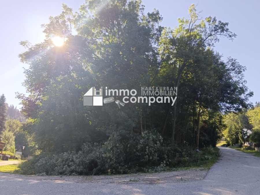 Baugrundstück in 2680 Semmering-Kurort Immobilie: Baugrundstück in 2680 Semmering-Kurort