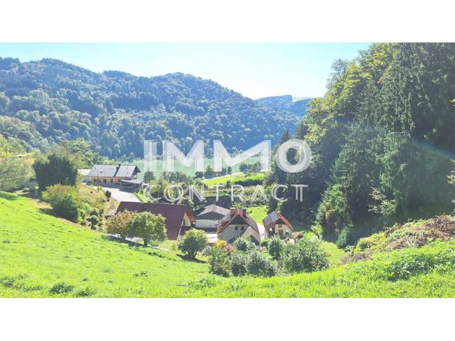 Immobilie: Baugrundstück in 4381 St. Nikola an der Donau