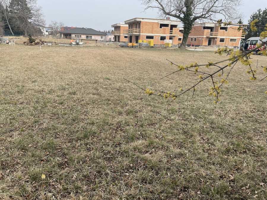 Baugrundstück in 2604 Theresienfeld Immobilie: Baugrundstück in 2604 Theresienfeld