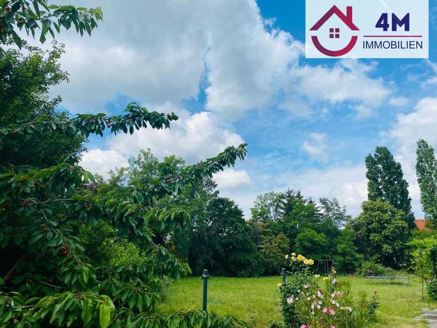 Baugrundstück in 2514 Traiskirchen Immobilie: Baugrundstück in 2514 Traiskirchen