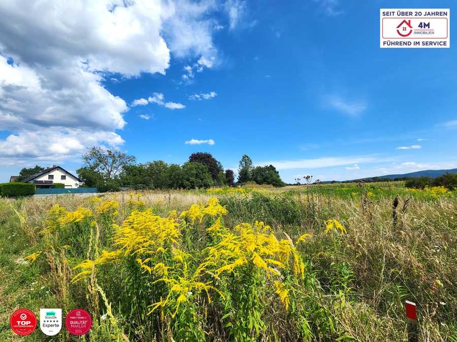 Immobilie: Baugrundstück in 2700 Wiener Neustadt