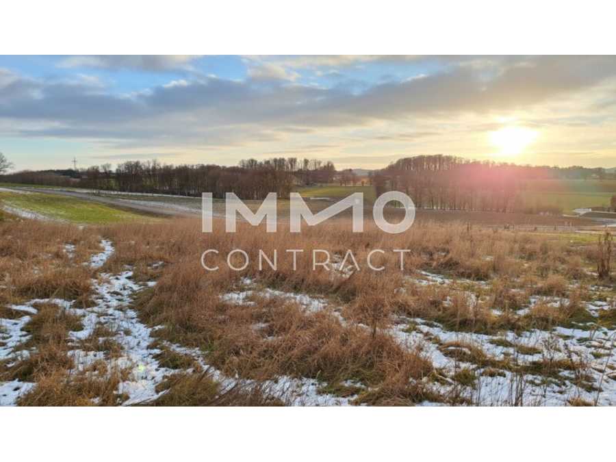 Immobilie: Baugrundstück in 3250 Wieselburg