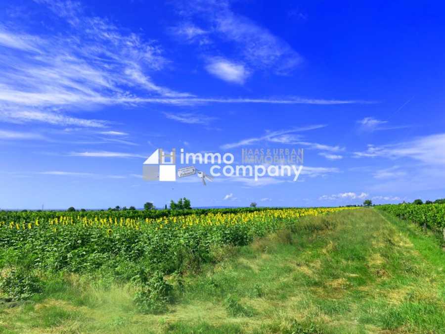 Immobilie: Baugrundstück in 7092 Winden am See
