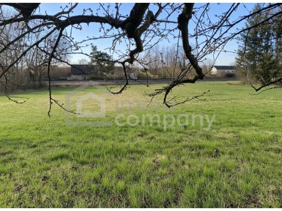 Immobilie: Baugrundstück in 2722 Winzendorf