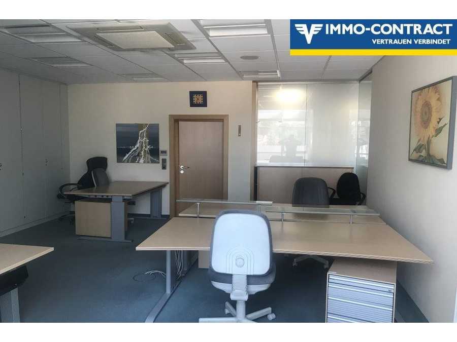 Büro in 3580 Horn Immobilie: Büro in 3580 Horn