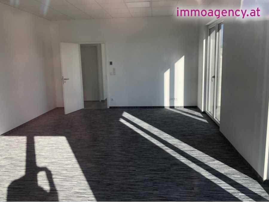 Büro in 2542 Kottingbrunn Immobilie: Büro in 2542 Kottingbrunn