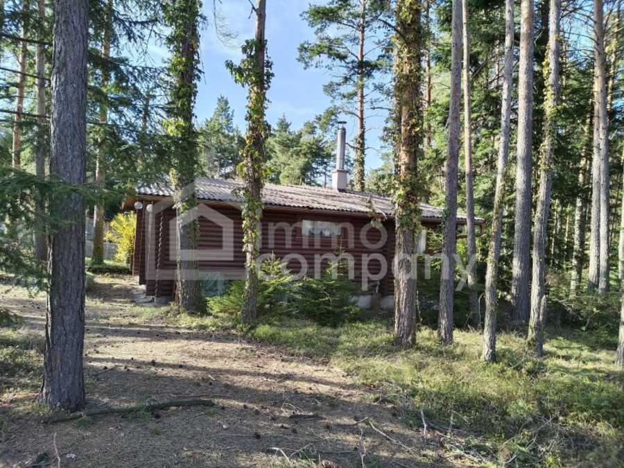 Immobilie: Bungalow in 2812 Hollenthon