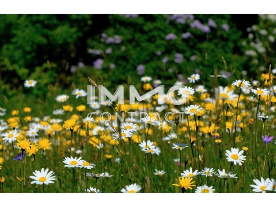 Immobilie: Eigentumswohnung in 4030 Linz