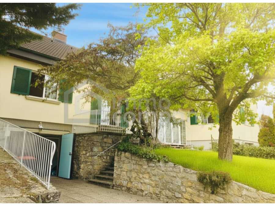 Immobilie: Einfamilienhaus in 7091 Breitenbrunn am Neusiedler See