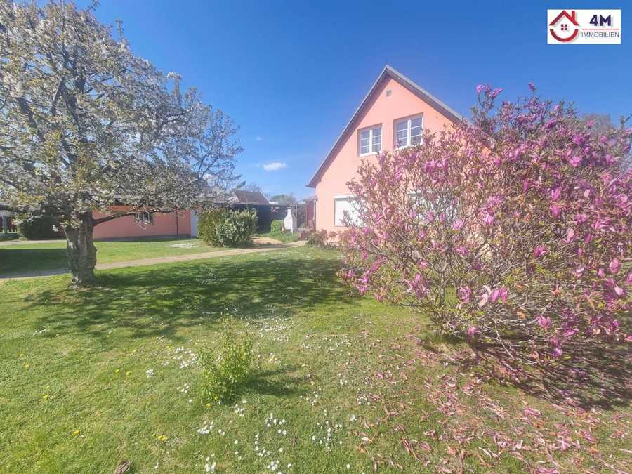 Einfamilienhaus in 2201 Kapellerfeld Immobilie: Einfamilienhaus in 2201 Kapellerfeld