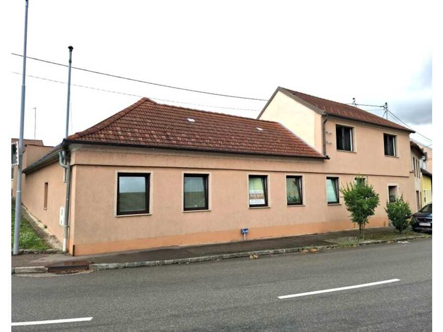 Immobilie: Einfamilienhaus in 2054 Haugsdorf