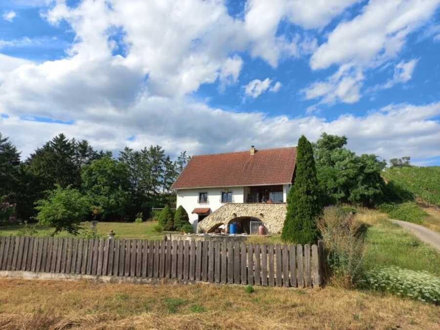 Einfamilienhaus in 2024 Mailberg Immobilie: Einfamilienhaus in 2024 Mailberg
