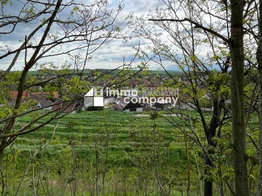 Einfamilienhaus in 2276 Reintal Immobilie: Einfamilienhaus in 2276 Reintal