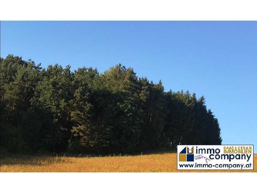 Immobilie: Forstwirtschaft in 7540 Güssing