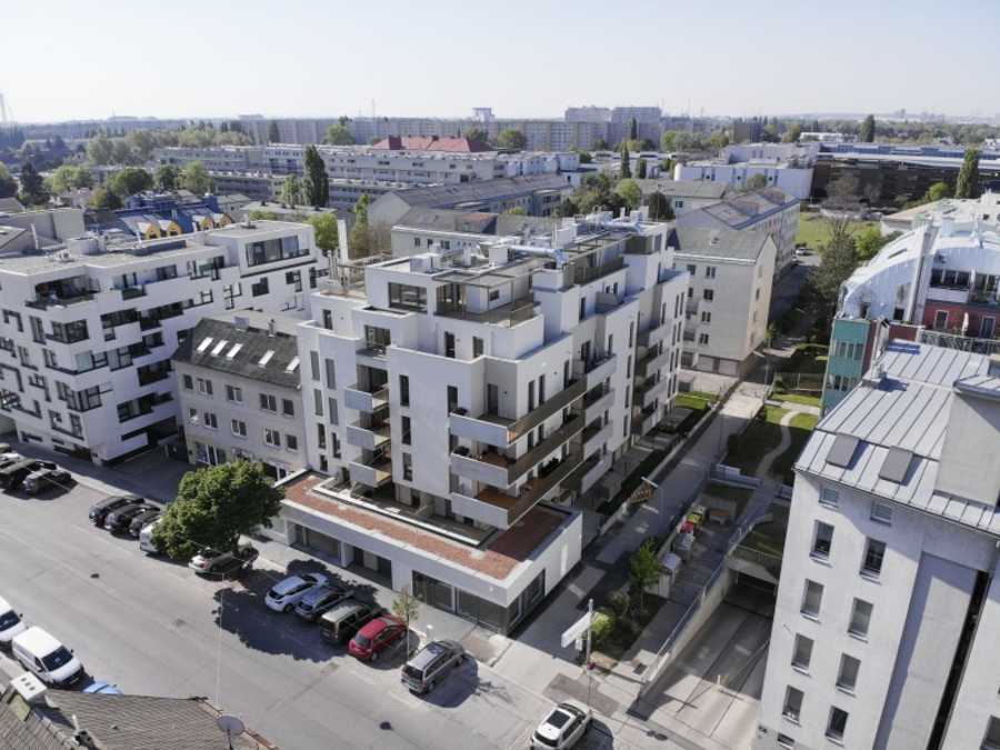 Geschäftslokal in 1220 Wien Immobilie: Geschäftslokal in 1220 Wien