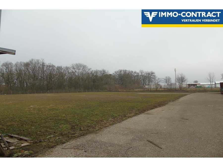 Gewerbebaugrund in 2011 Sierndorf Immobilie: Gewerbebaugrund in 2011 Sierndorf