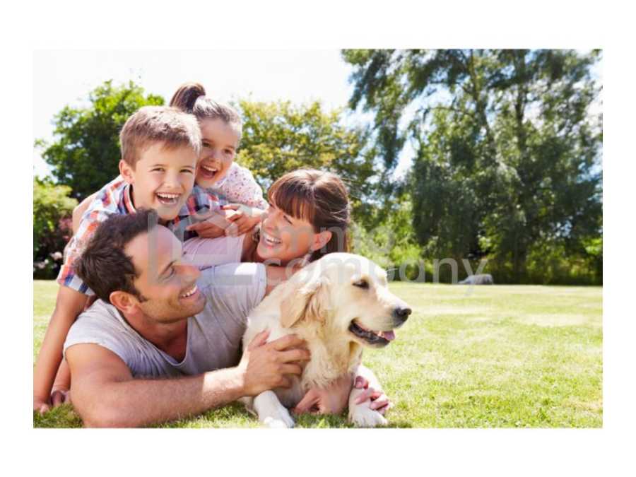 Immobilie: Grundstück in 8072 Dillach