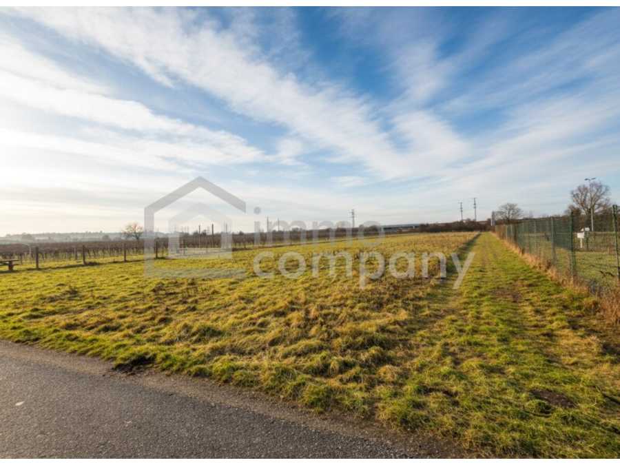 Immobilie: Grundstück in 2352 Gumpoldskirchen