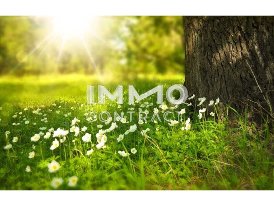 Immobilie: Grundstück in 7464 Markt Neuhodis