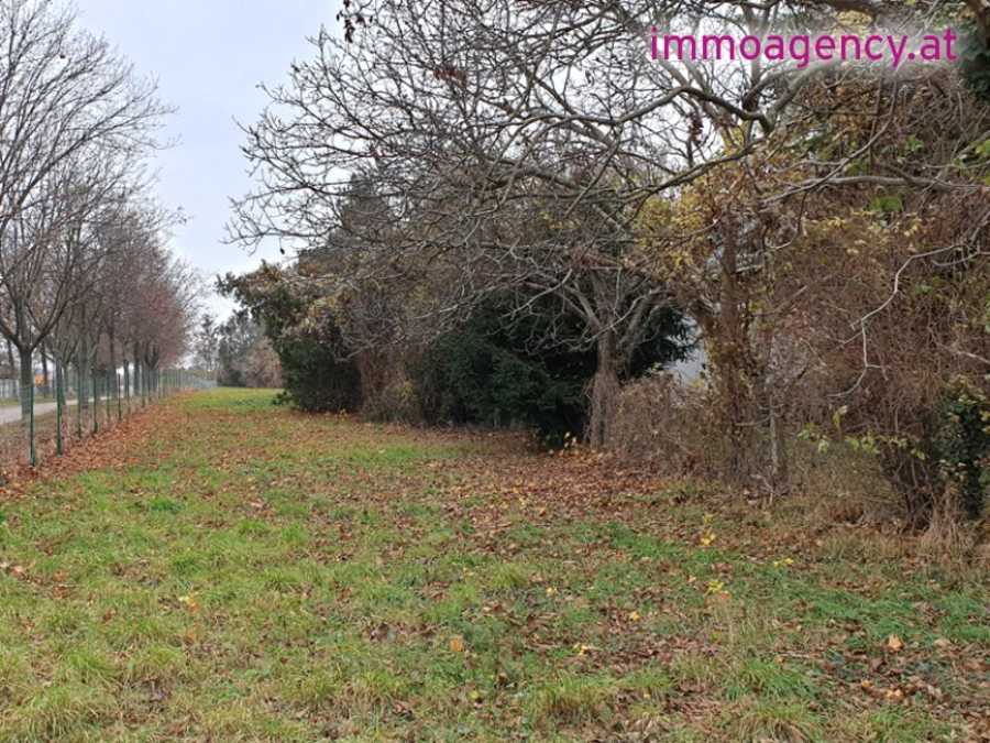 Grundstück in 1110 Wien Immobilie: Grundstück in 1110 Wien