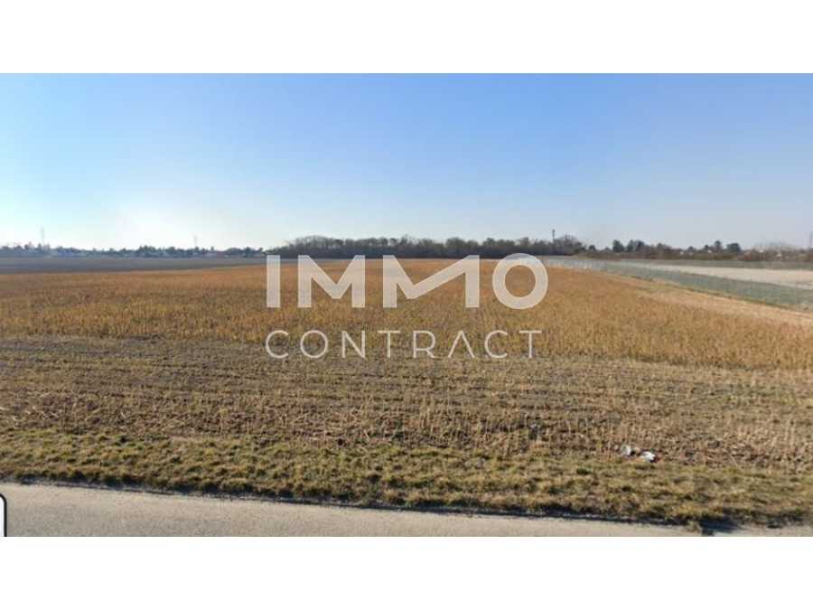 Immobilie: Grundstück in 1220 Wien