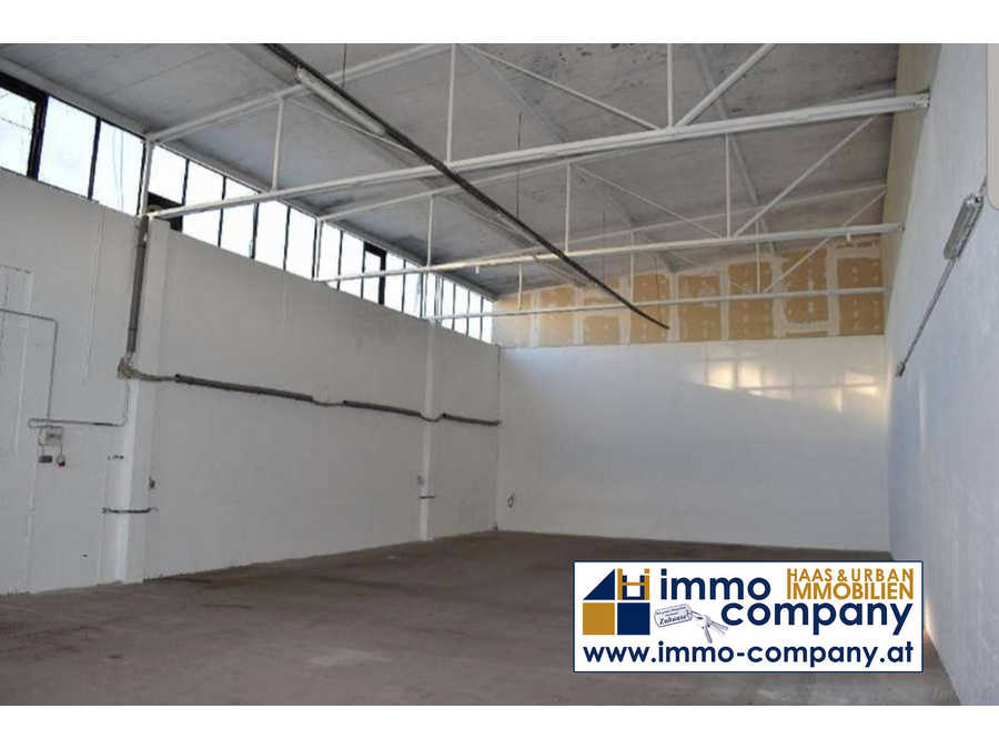 Halle in 2492 Eggendorf Immobilie: Halle in 2492 Eggendorf
