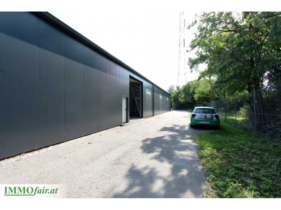 Halle in 2203 Eibesbrunn Immobilie: Halle in 2203 Eibesbrunn