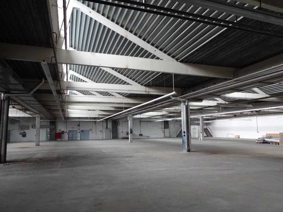 Halle in 2100 Korneuburg Immobilie: Halle in 2100 Korneuburg
