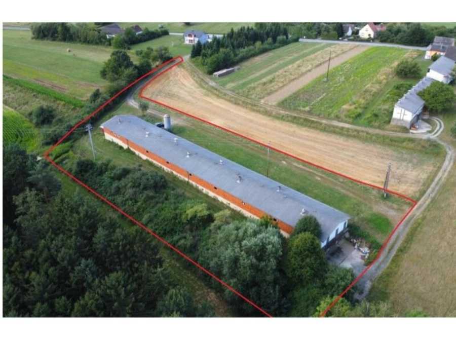 Immobilie: Halle in 7552 Stinatz