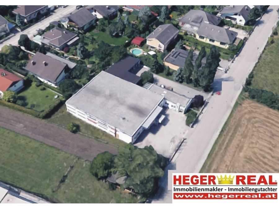 Halle in 2700 Wiener Neustadt Immobilie: Halle in 2700 Wiener Neustadt