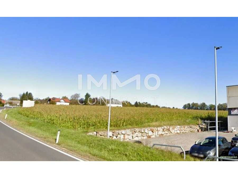 Immobilie: Halle in 3250 Wieselburg