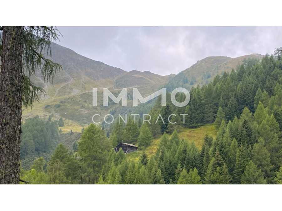 Immobilie: Landwirtschaft in 9981 Kals am Großglockner