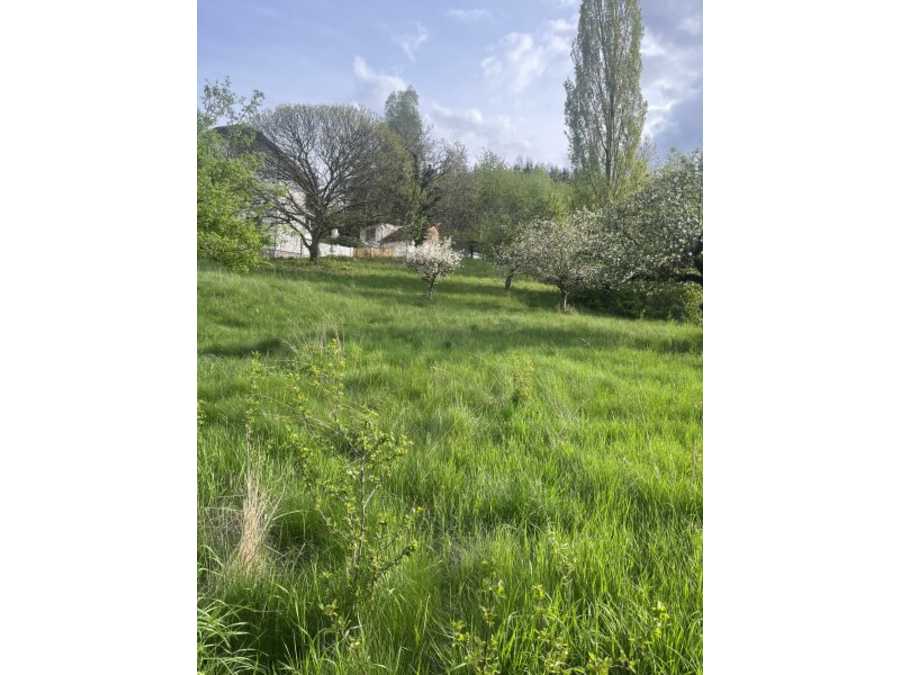 Landwirtschaft in 2640 Köttlach Immobilie: Landwirtschaft in 2640 Köttlach