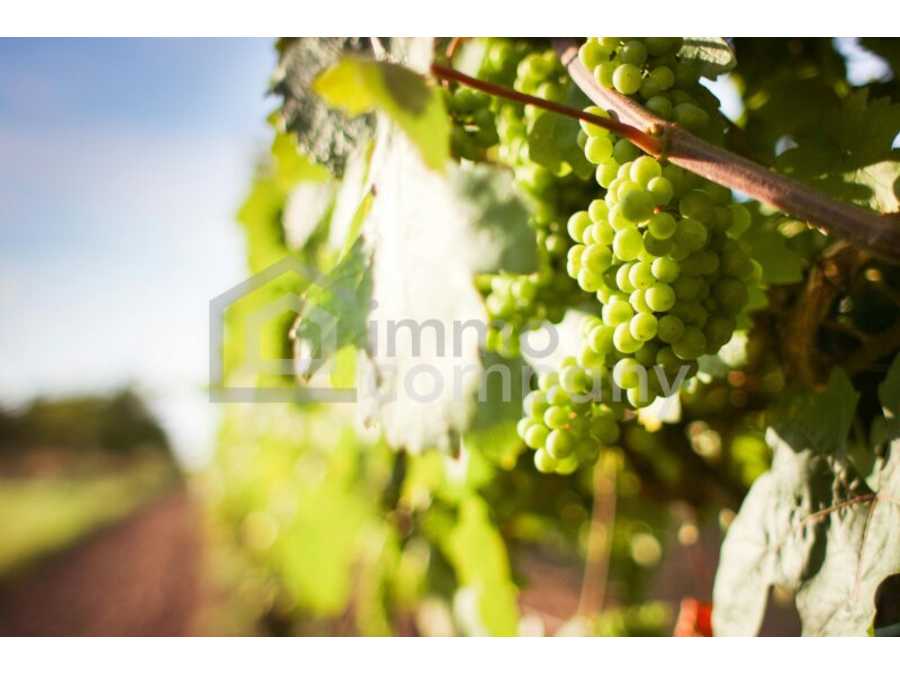 Immobilie: Landwirtschaft in 1100 Wien